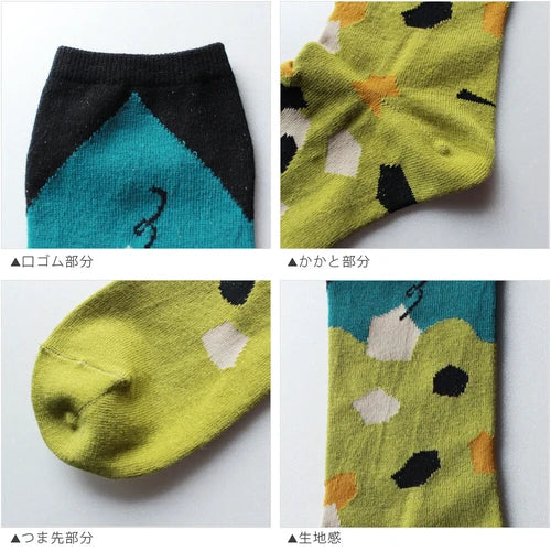 The Crow and the Pitcher story sock in Green